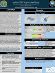 ​  Analysis of MEN1 Variants in Angiofibroma