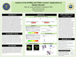 Analysis of the R100Q and P206S variants’ implications in bipolar disorder​