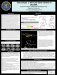 The analysis of NOTCH3 Gene Variants in CADASIL​