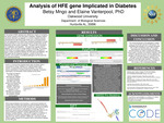 Analysis of HFE gene Implicated in Diabetes