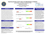 Exploring the Role of CAV1 Gene in the Manifestation of Diabetes​