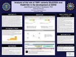 Analysis of the role of TBR1 variants Glu223Gln and His681Gln in the development of ADHD​