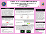 Analysis of SLX4 Gene in Breast Cancer