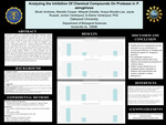 Analyzing the Inhibition Of Chemical Compounds On Protease in P. aeruginosa by Elaine Vanterpool