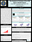 The Analysis of Variants of the ATM Gene in Breast Cancer