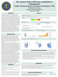 The Analysis of the COMT gene contribution to  Schizophrenia