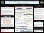 Impact of MSX1 and IRF6 Gene Variants on Orofacial Cleft and Facial Development