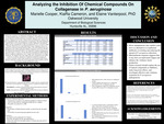 Analyzing the Inhibition Of Chemical Compounds On  Collagenase in P. aeruginosa