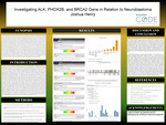 Investigating ALK, PHOX2B, and BRCA2 Gene in Relation to Neuroblastoma
