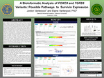 A Bioinformatic Analysis of FOXO3 and TGFB3 Variants: Possible Pathways to Survivin Expression