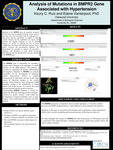 Analysis of Mutations in BMPR2 Gene  Associated with Hypertension