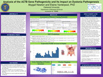 Analysis of the ACTB Gene Pathogenicity and Its Impact on Dystonia Pathogenesis Abygail Newton and Elaine Vanterpool, PhD